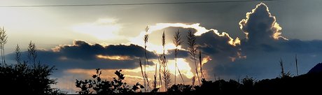 Matt Hollander model sex image