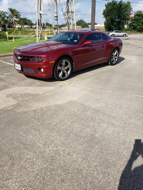 Mrbzx10r free model gallery