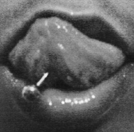 Tooka star top picture