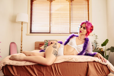 Nova Zone naked star archive