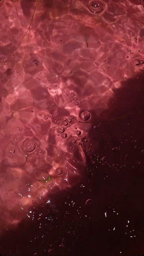 Meeky Queen free actress archive