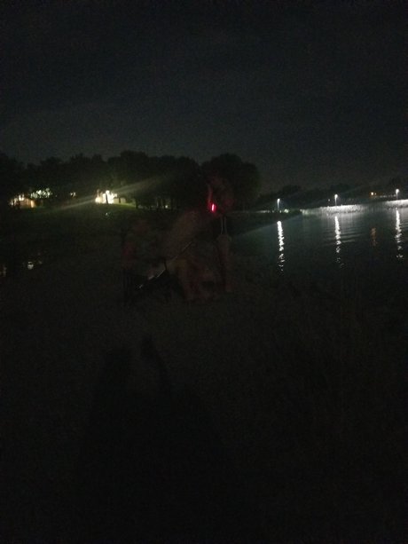 HorniCurve model nice archive