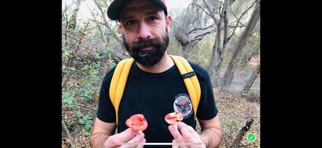 Millo free model archive