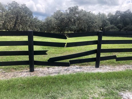 MACAROOT MIKE S BJS FREE pornstar perfect image