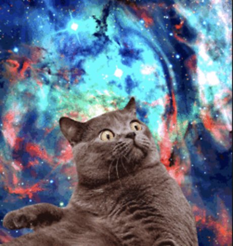 Shanikua star art pic