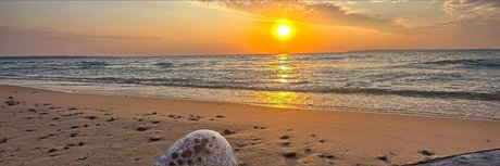 Trans witch star nice photo