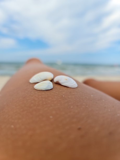 Shrek pretty model images