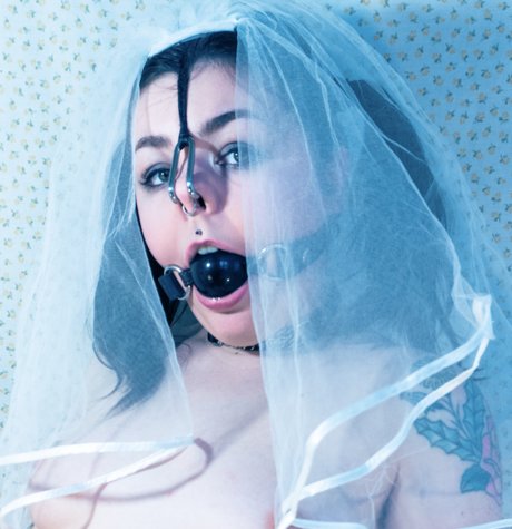 Virginia Dentata pornographic star images