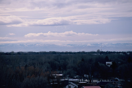 Skyelar star art picture