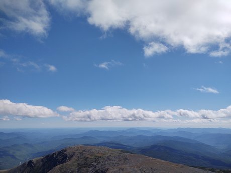 Selina Lizz pornographic actress image