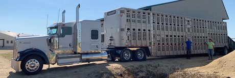 Todd Daehn pretty actress pic