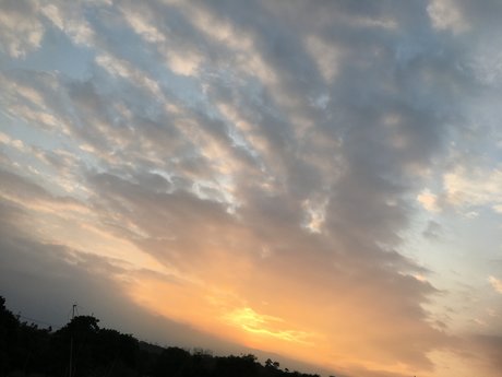 Percy Hidalgo nudes pornstar img