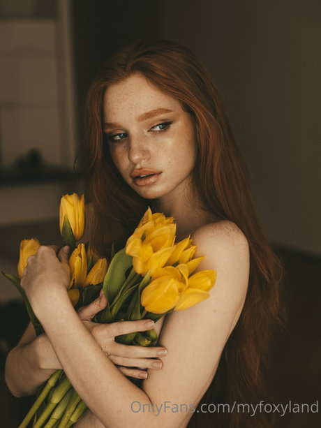 Myfoxyland hd star picture