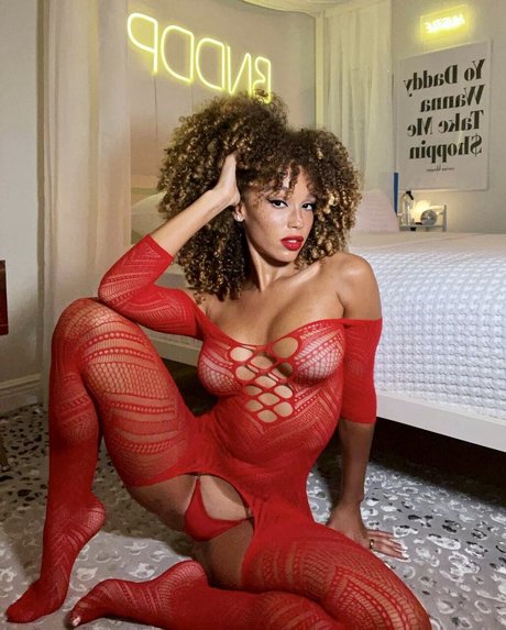 Catdagreat star beautiful gallery