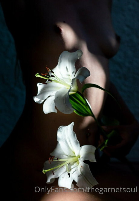 thegarnetsoul actress picture