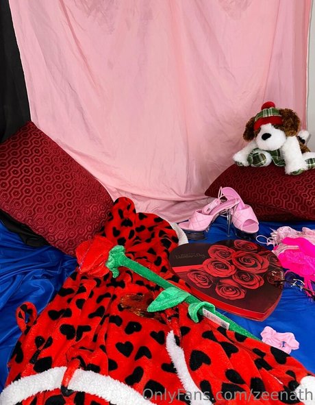 zeenath art pornstar archive