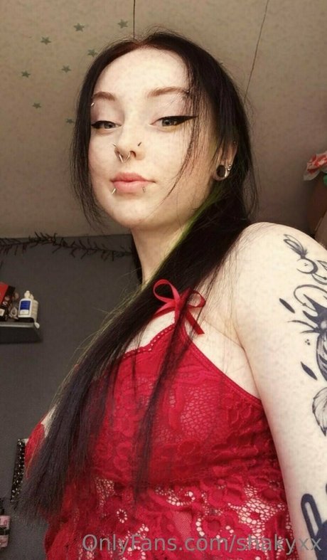 shakyxx star art picture