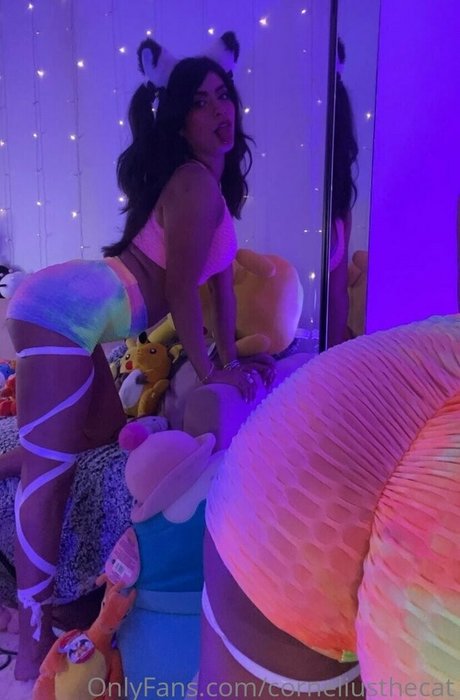 corneliusthecat top pornstar pictures