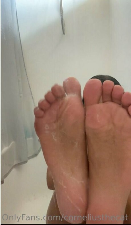 corneliusthecat model sex images