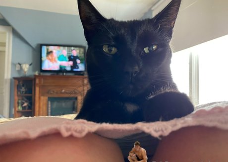 qsladygiant model sexy images