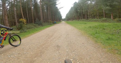 ann antics beautiful pornstar pic