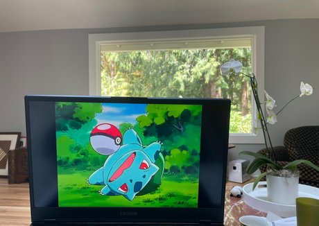 marstonhefner top star img