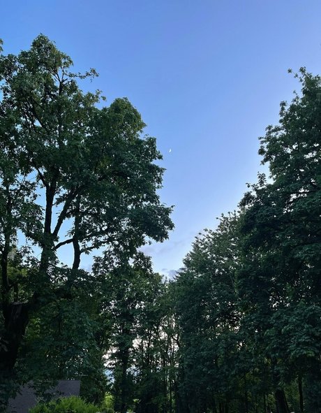 marstonhefner pornstar pretty archive