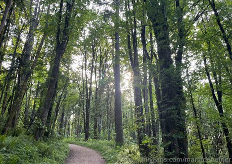 marstonhefner star xxx gallery