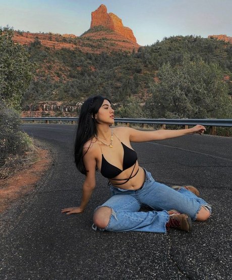 saraecheagaray art star image