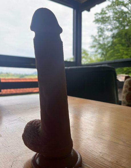 zaryaz model perfect img