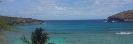 Phoenix Reign nice star img