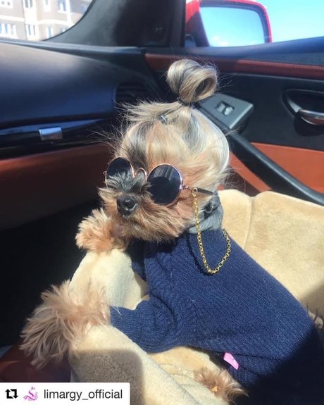 Black Marilyn Monroe star pics