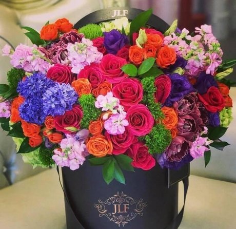 _Princes Dolltje_ pretty star pic