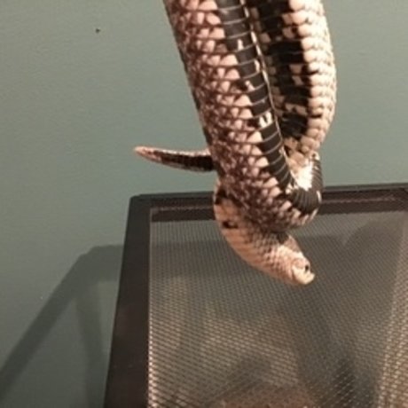 u8360874 pornstar adult galleries