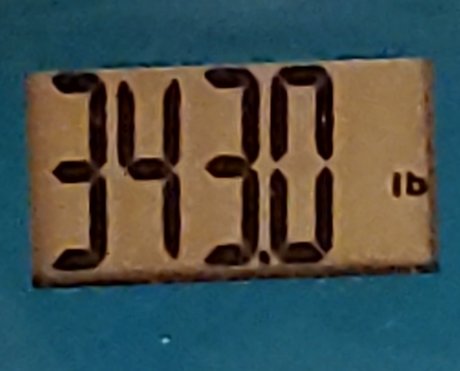 PudgyLovin_ high quality star archive