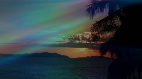 Mia Boom_ adult star pic