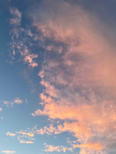 Thickness Williams pornstar nice images