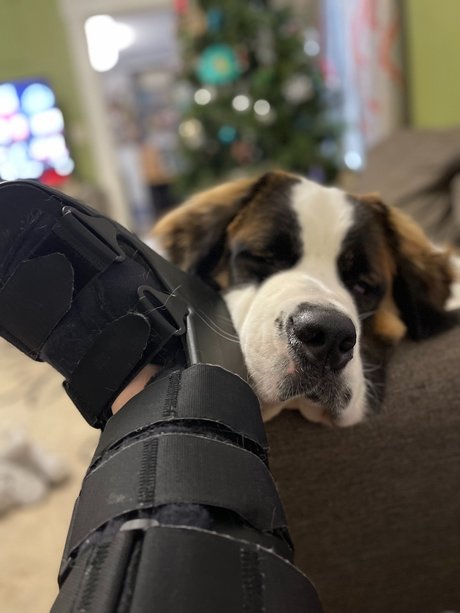 Nhdixiedanyell pornstar nudes gallery