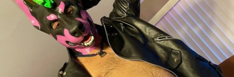 Izzy T AKA Pup Silo star best galleries