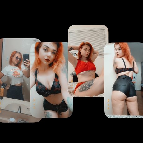 Ak Dreyer best pornstar picture