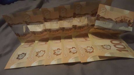 DaddyMocha amp ampLux sex pornstar image