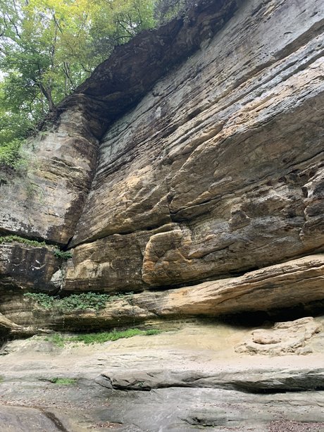 Daddy5000 nude pornstar gallery