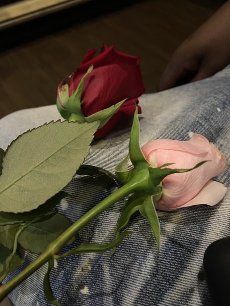 Blueyedcrush model sexy photo