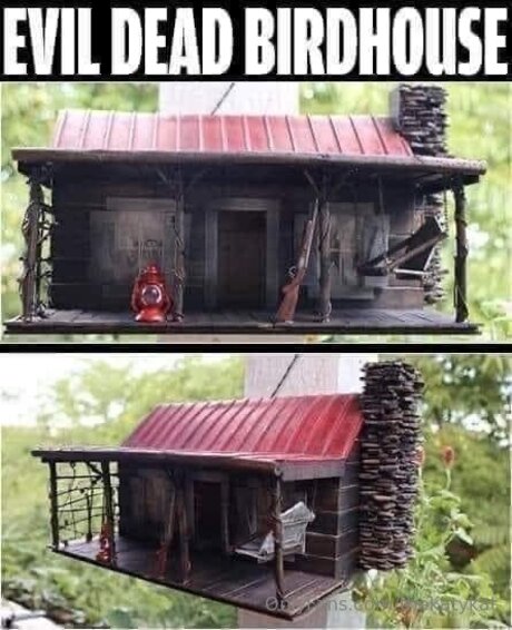 _Katy Kat_ star pretty img