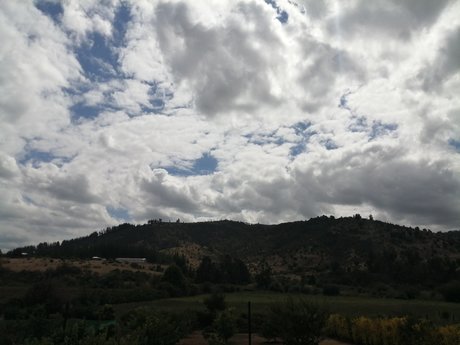 Pando high quality star photo