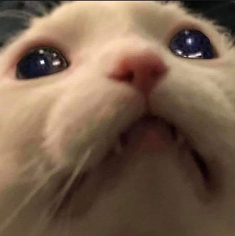 Sam Salemm pornstar sexy galleries