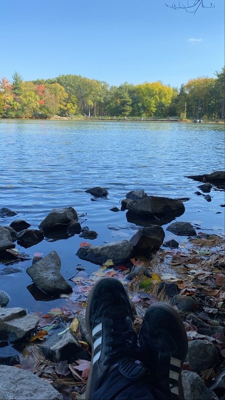 Ava Monroe xxx actress img