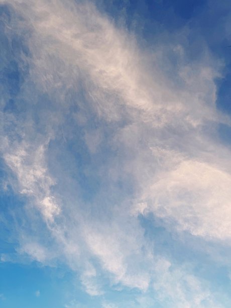 Mauricio Davila star pornographic img