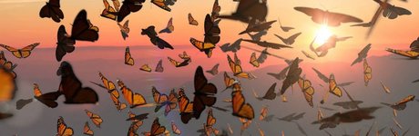 Odezza Dior_ pornstar exclusive galleries