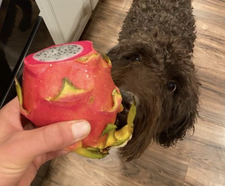 Bumper Ann top actress photos